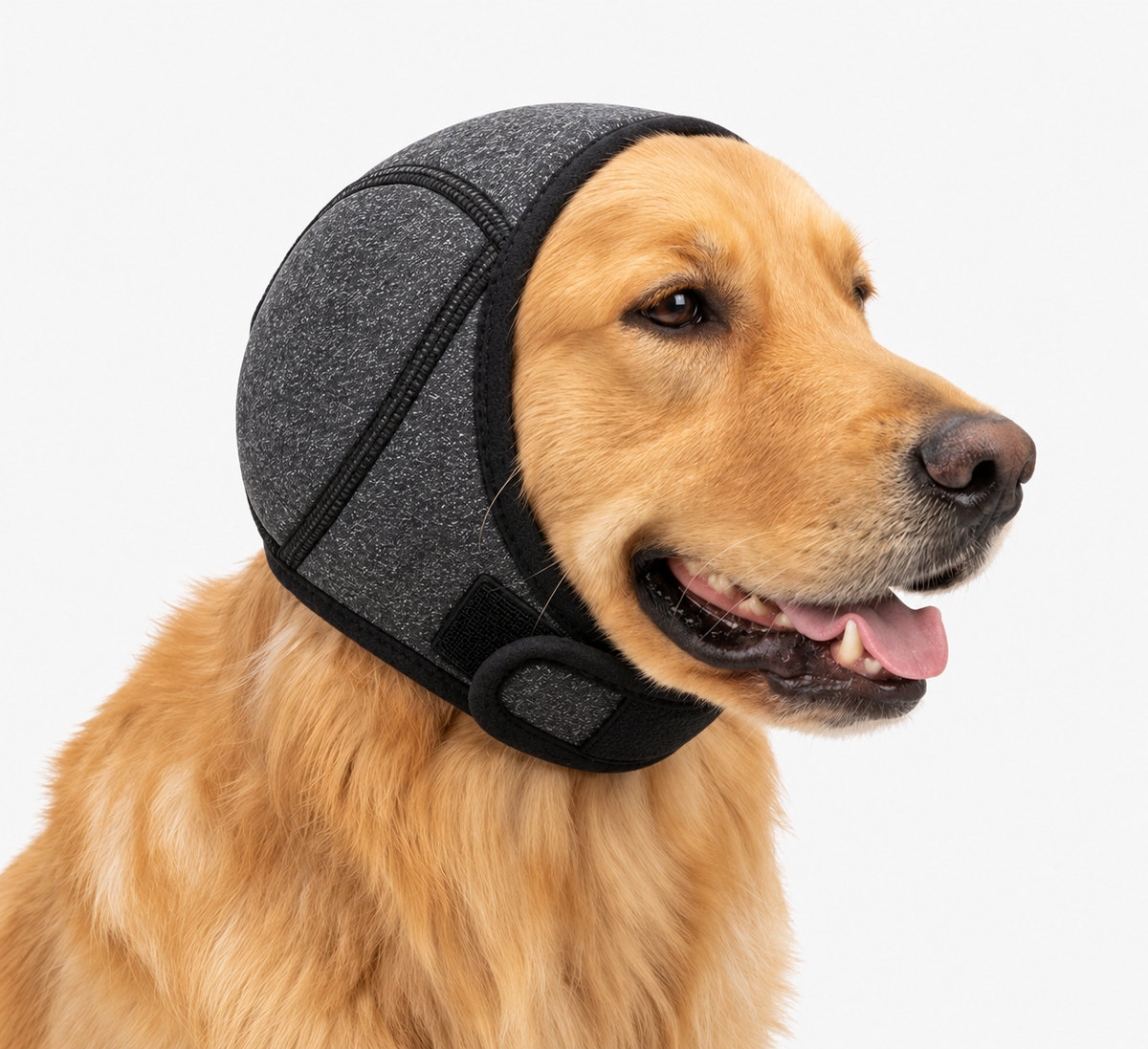 πΆ Calming Noise-Reducing Comfort Hood for Dogs