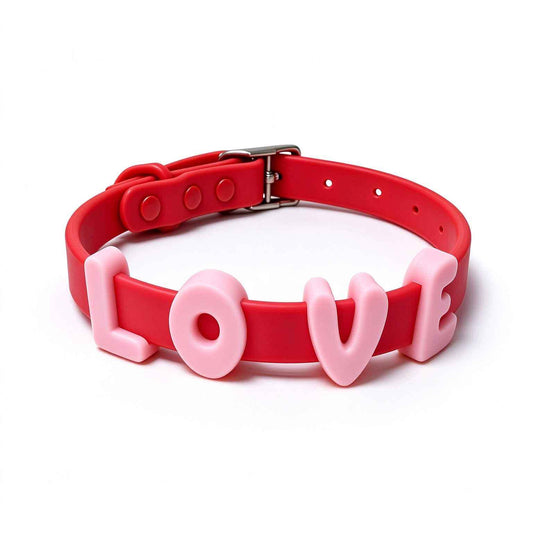 Waterproof Letter Charm Dog Collar – Adjustable & Easy-Clean